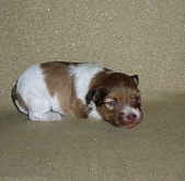 Enlarge photo 3