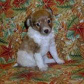 Enlarge photo 7