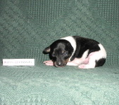 Enlarge photo 9