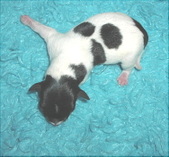 Enlarge photo 15