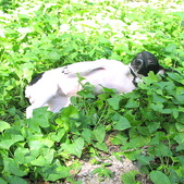 Enlarge photo 22