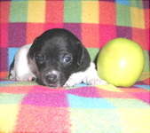 Enlarge photo 6