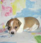 Enlarge photo 12