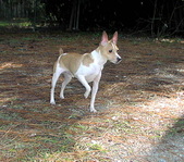 Enlarge photo 34
