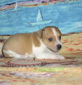 Enlarge photo 13