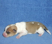 Enlarge photo 3