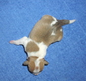 Enlarge photo 2