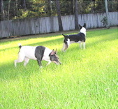 Enlarge photo 20
