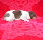 Enlarge photo 27