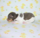 Enlarge photo 24