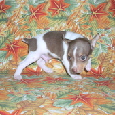 Enlarge photo 13