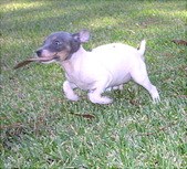 Enlarge photo 1