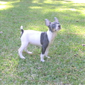 Enlarge photo 5