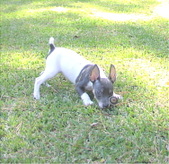 Enlarge photo 6