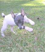 Enlarge photo 2