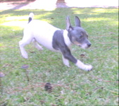 Enlarge photo 3