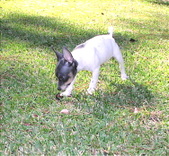 Enlarge photo 9