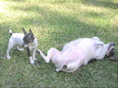 Enlarge photo 10