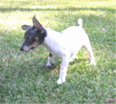 Enlarge photo 11