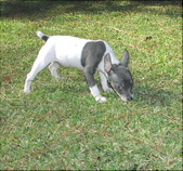 Enlarge photo 12