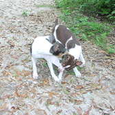Enlarge photo 22
