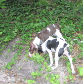 Enlarge photo 20