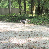 Enlarge photo 25