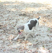 Enlarge photo 26