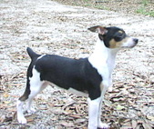 Enlarge photo 9
