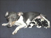 Enlarge photo 23