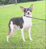 Enlarge photo 6