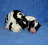 Enlarge photo 1