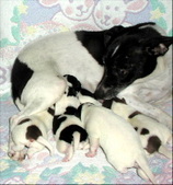 Enlarge photo 19