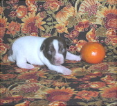 Enlarge photo 9
