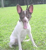 SONNY