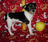 Enlarge photo 19