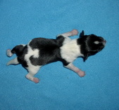 Enlarge photo 2