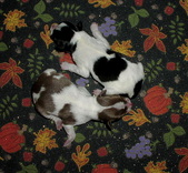 Enlarge photo 28