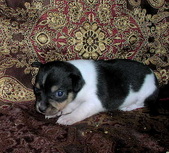 Enlarge photo 12