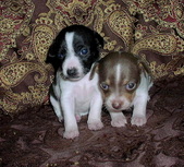 Enlarge photo 32
