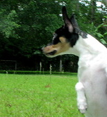 Enlarge photo 38