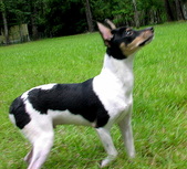 Enlarge photo 39