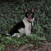 Enlarge photo 37