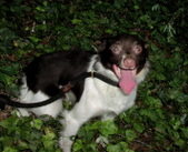 Enlarge photo 39