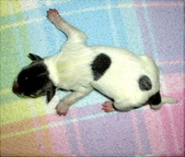 Enlarge photo 14