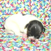 Enlarge photo 15