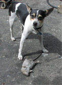 Enlarge photo 4