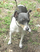 Enlarge photo 10