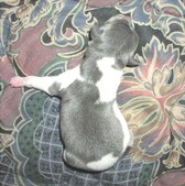 Enlarge photo 3