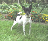 Enlarge photo 27